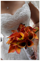 Nuptial Ceremonies / XV Años / Engagements