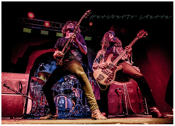 Wolfmother